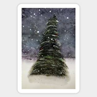 Evergreen Winter Sticker